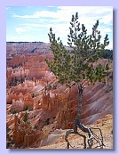 Sonn_USA_2010 164